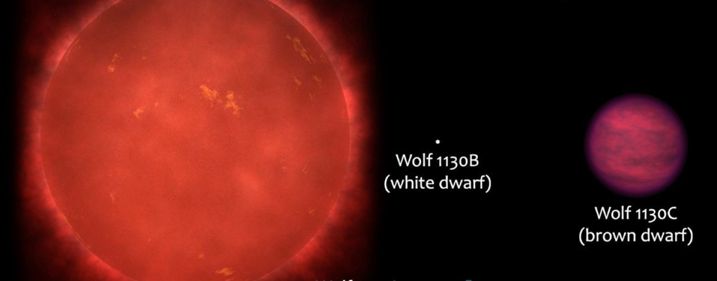 Artist's depiction of Wolf 1130 ABC system